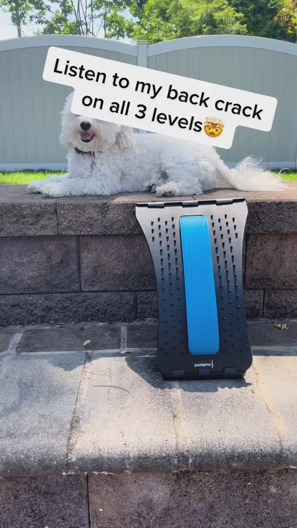 Chiropractic Magic Back Stretcher | Lumbar Massage Support | Spine Pain Relief | Posture Corrector